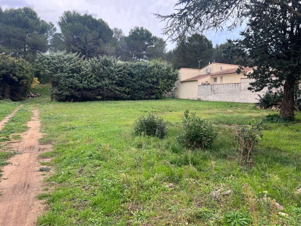 Terrain à FONTVIEILLE
