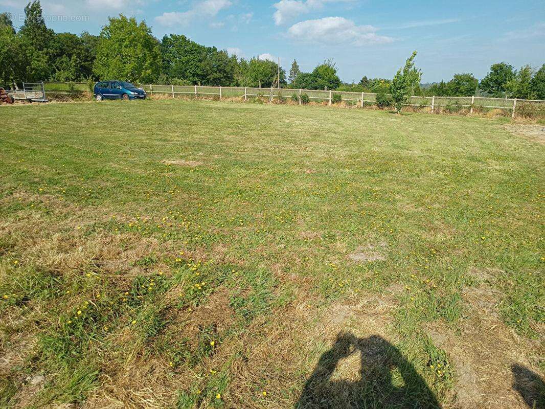 Terrain  1500 m2 - photo 5
