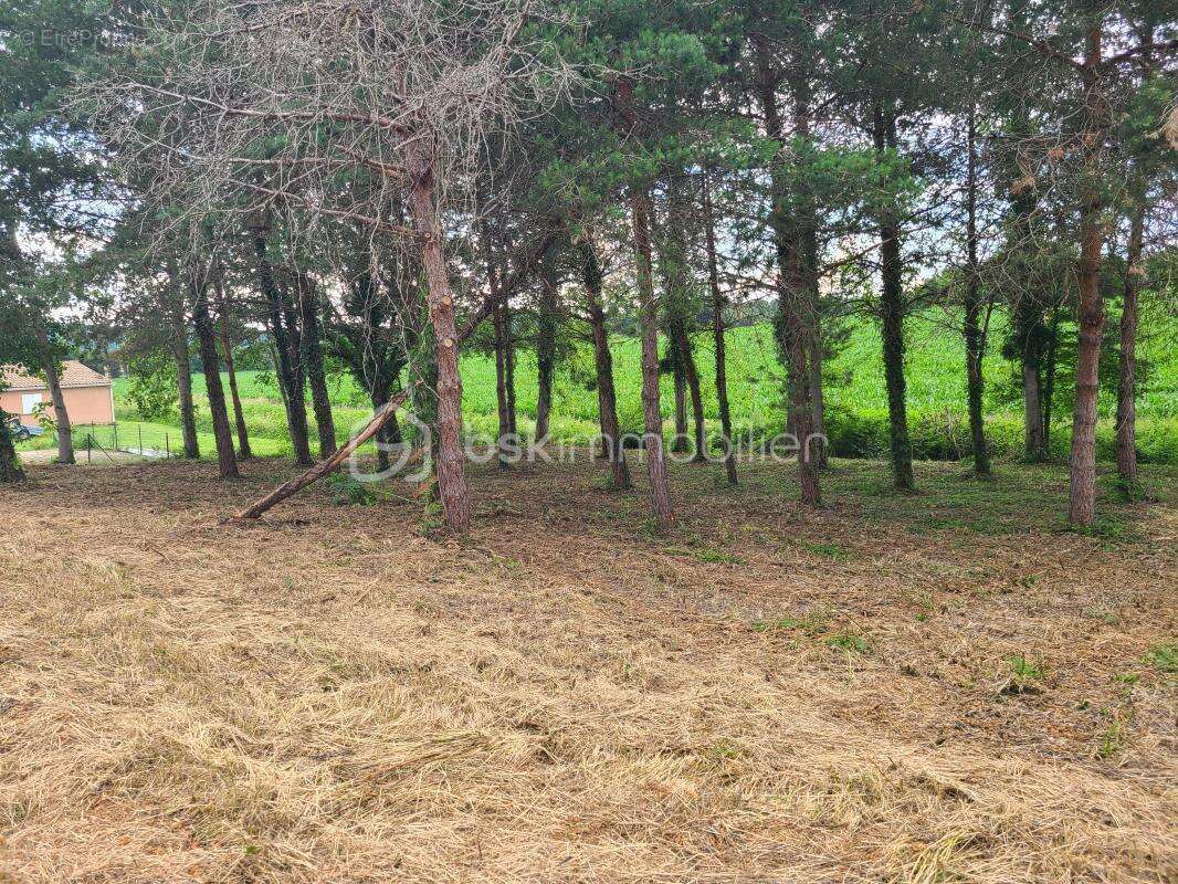 Terrain à GREZET-CAVAGNAN