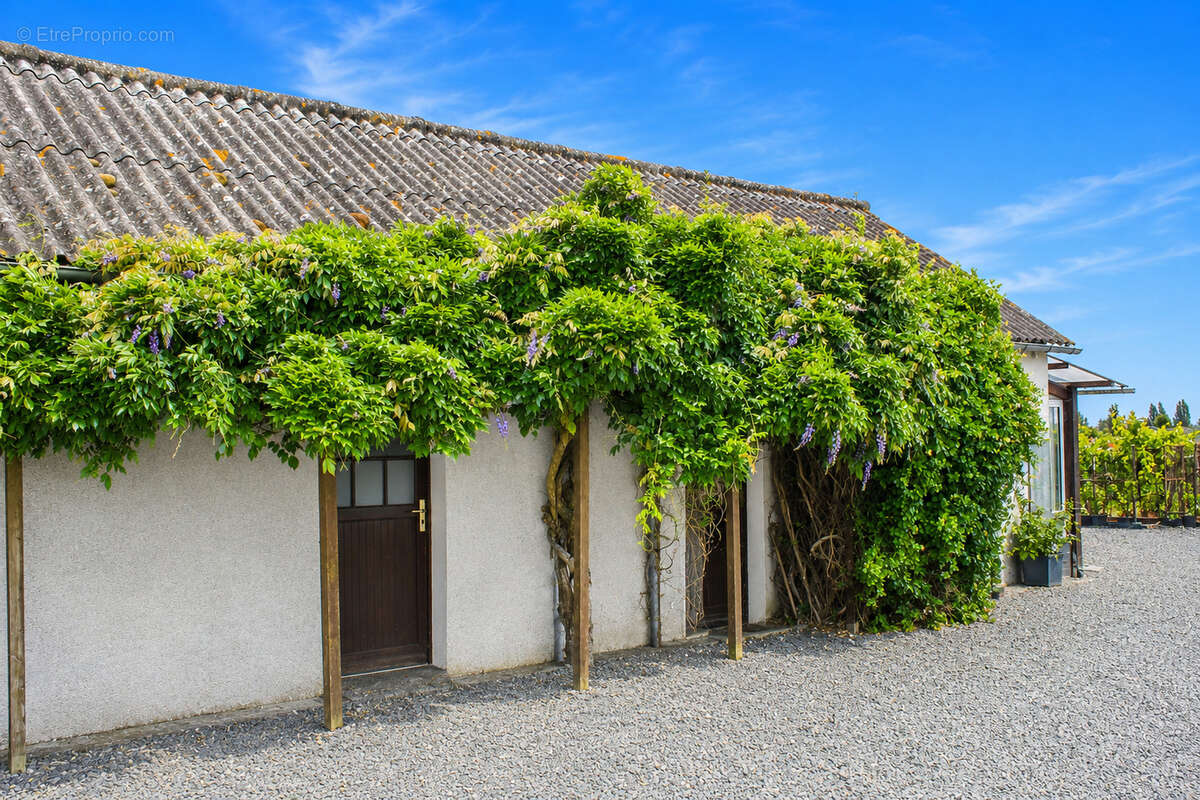 Saint nicolas de bourgueil - photo 12