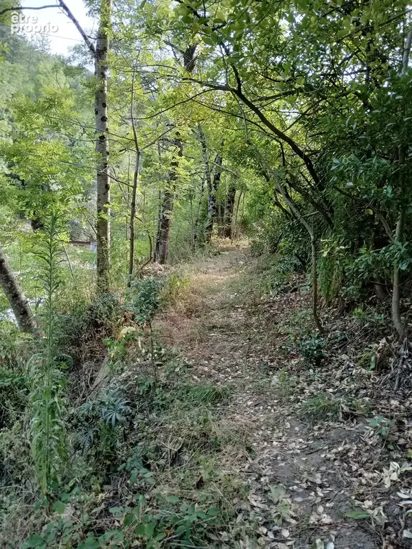 MAS 360 de volume + 25 hectares. - photo 9