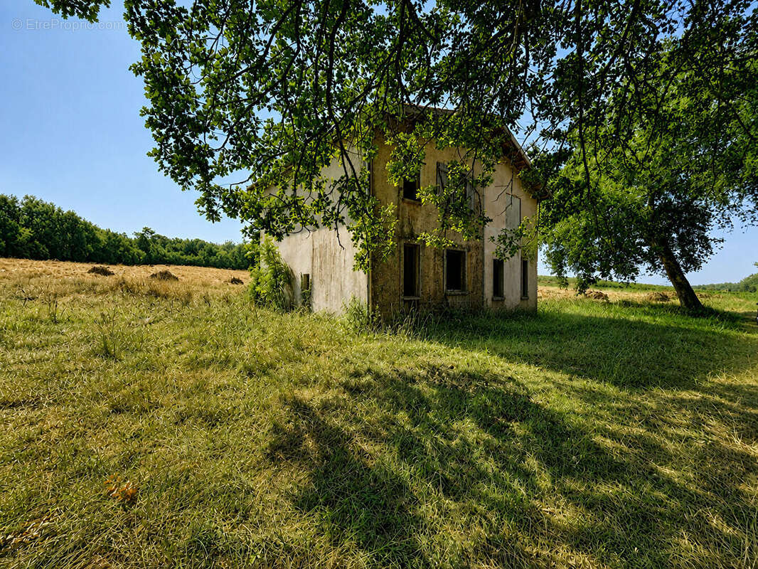 Terrain Fargues Saint Hilaire - photo 2