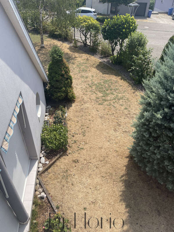 Nordheim - Maison d’architecte aux volumes remarquables 310m2 avec appartement indépendant - photo 28