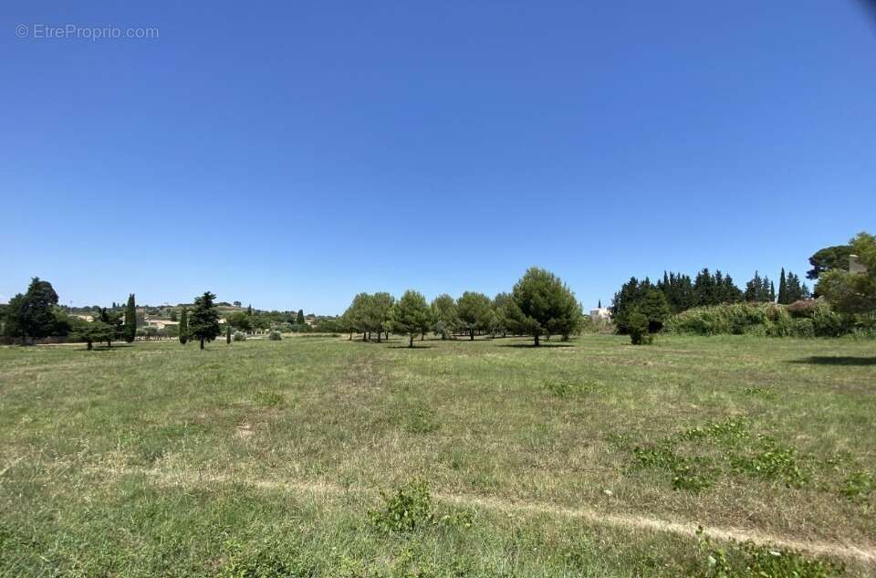 Terrain à SAINT-PARGOIRE