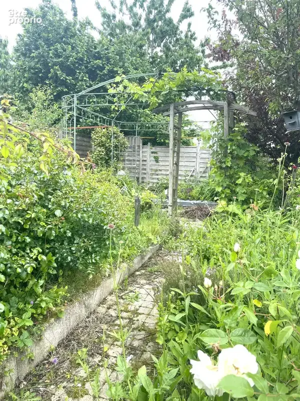 Entre Dinan, Saint Malo et Dinard , maison Pleslin Trigavou 5 pièce(s) 126 m2 - photo 18