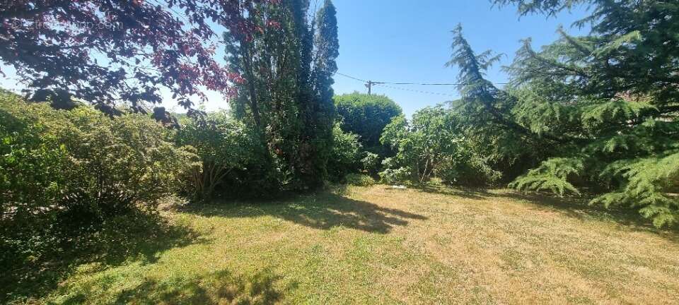 Terrain 600 m² à Montluel  - photo 4