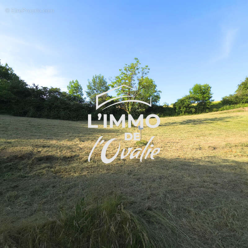 Terrain constructible Curemonte 3752 m2 - photo 2