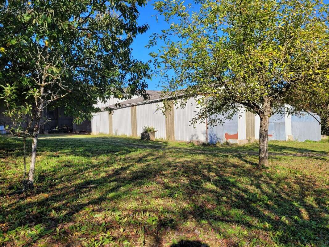 Photo 2 - Terrain à VOUILLE