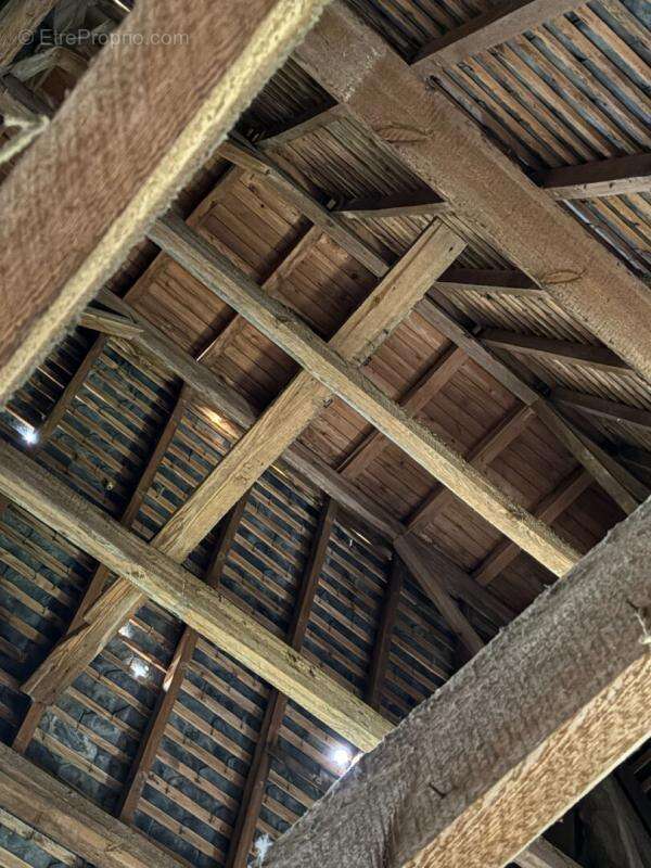 Château fin XIXe au coeur du vignoble girondin - photo 15