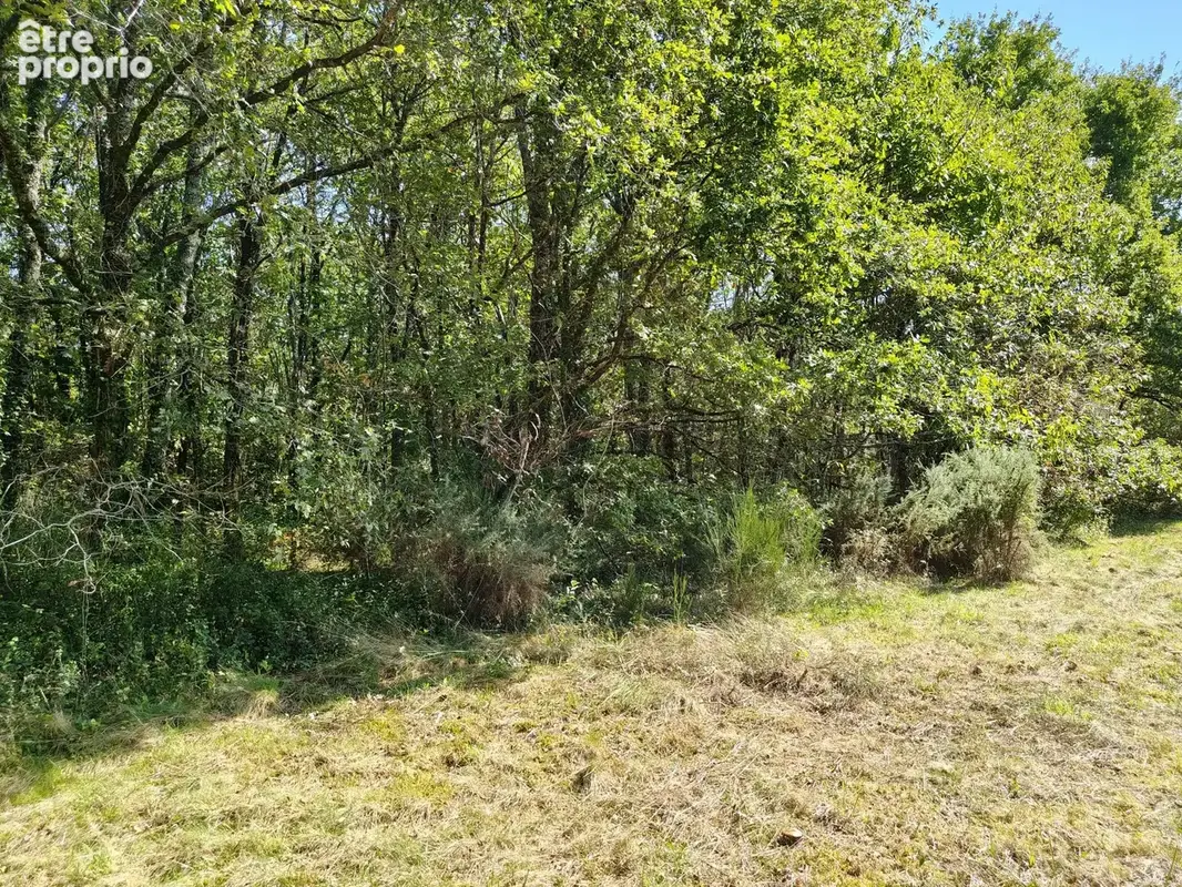 Terrain constructible avec chemin vers parcelle de bois - photo 3