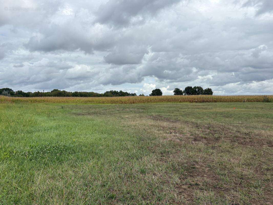 Terrain à LA VILLE-DIEU-DU-TEMPLE