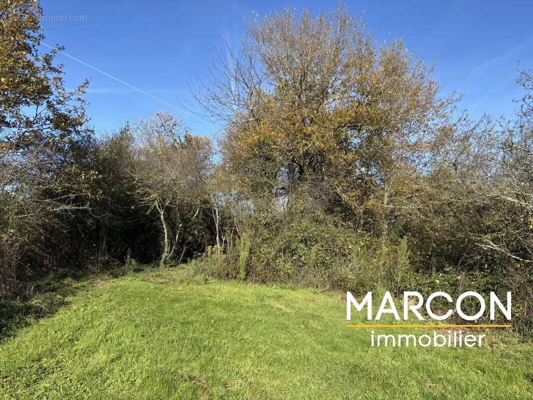 Maison à DOMPIERRE-LES-EGLISES