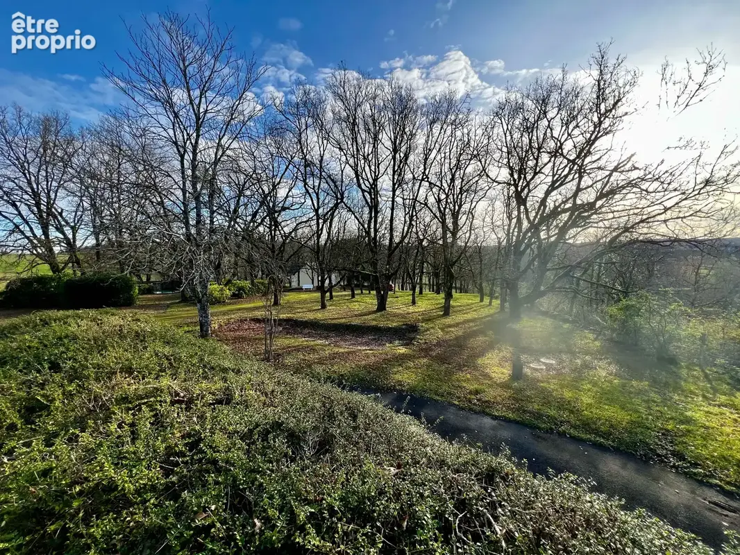 Propriete avec parc noailles - photo 15