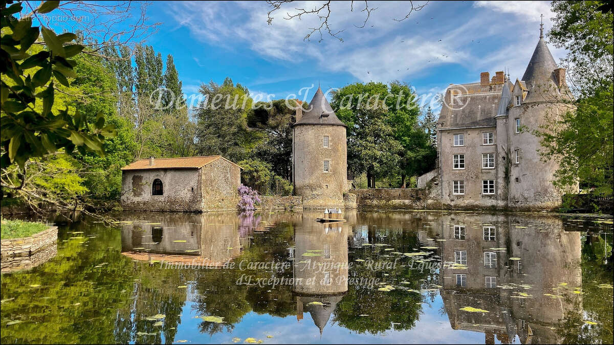 Vente Belle demeure avec gites, salle de réception, piscine, écurie, hectares - photo 15