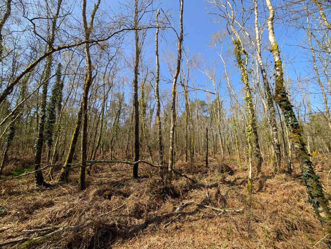 Terrain à CAMPENEAC