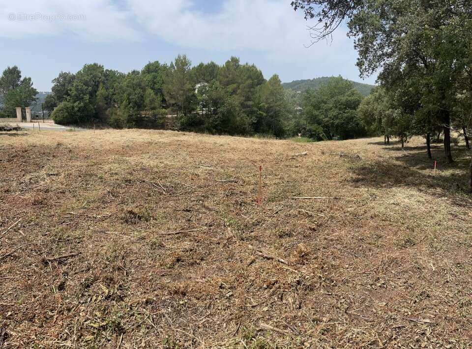 Terrain 1244 m² à Taradeau  - photo 3