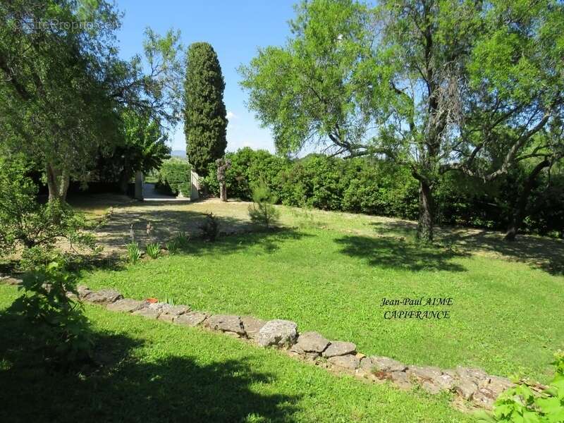 À Vendre – Gard Rhodanien -  SALAZAC Maison de Charme d'environ 200 m2 avec Piscine sur un terrain de 2079 m2 - photo 3
