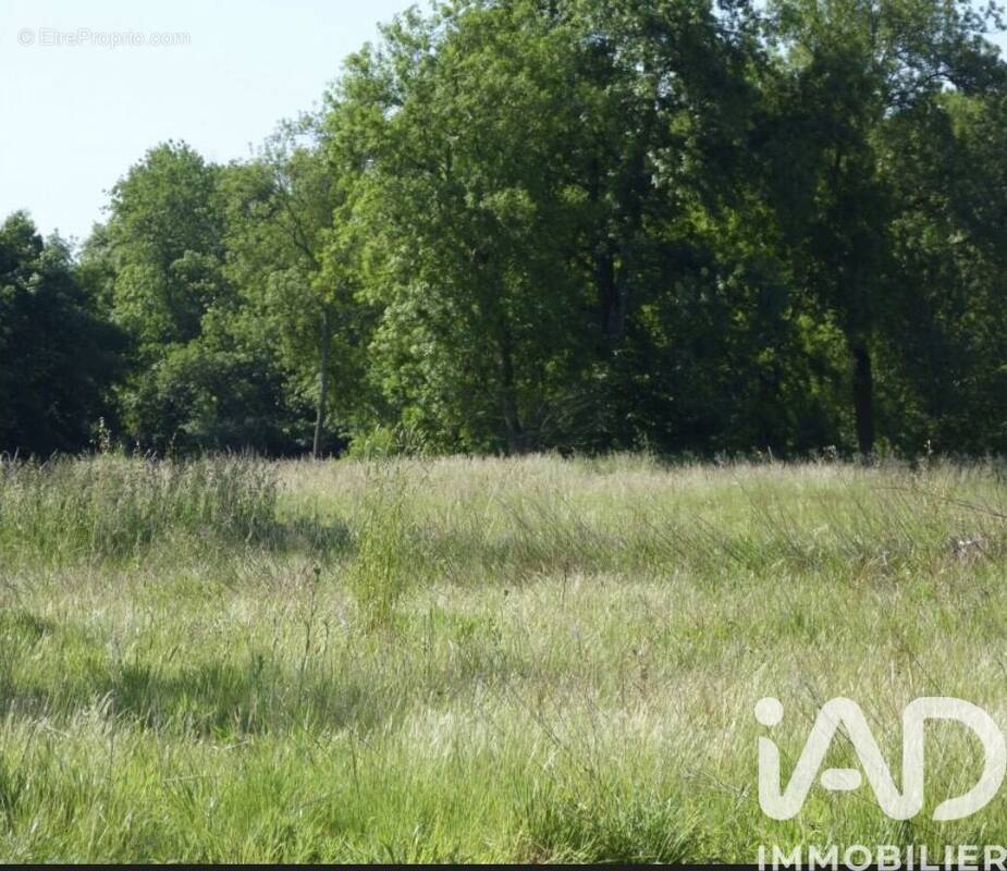 Photo 1 - Terrain à VILLEVAUDE