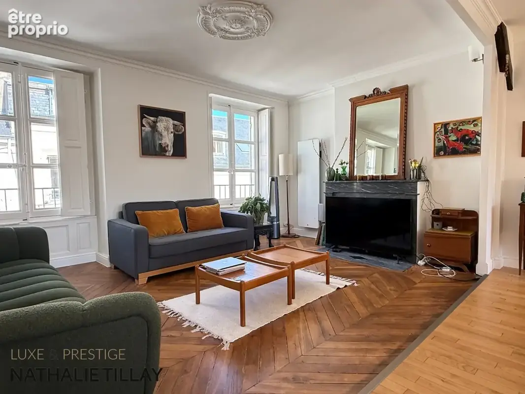 Appartement  à vendre 126 m², en hotel particulier  ORLEANS Bretonnerie , garage dans la cour interieure - photo 4