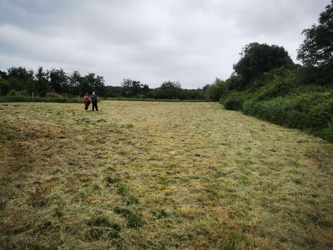Terrain à TALMONT-SAINT-HILAIRE