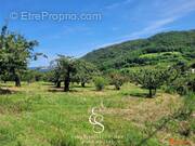 Photo 1 - Terrain à SAINT-DESIRAT