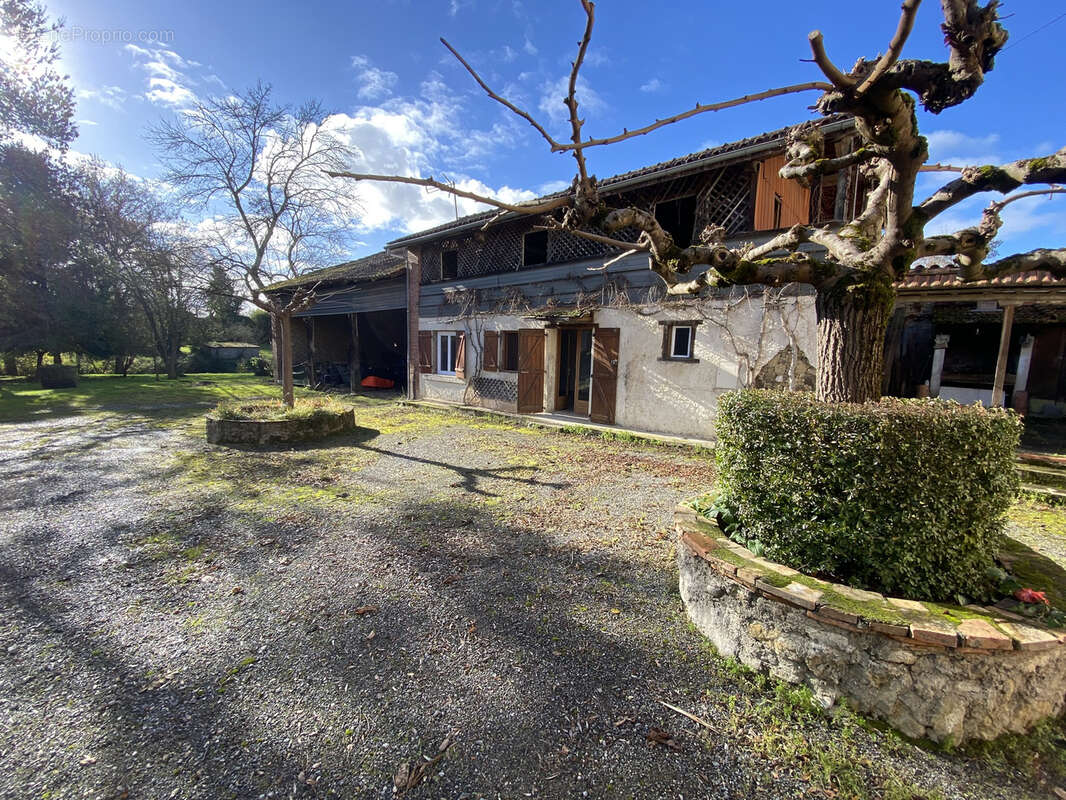 Maison à MASSEUBE