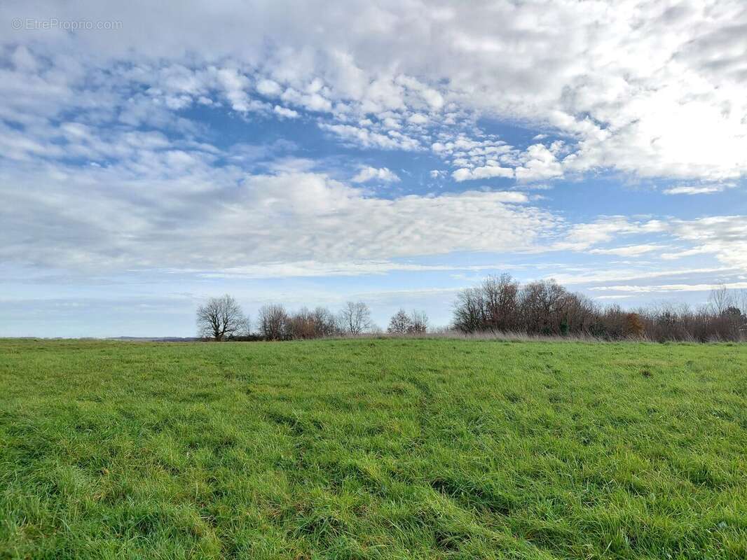 Terrain à SAINT-GEORGES-DES-AGOUTS