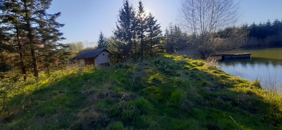 Terrain à CHATEAU-SALINS