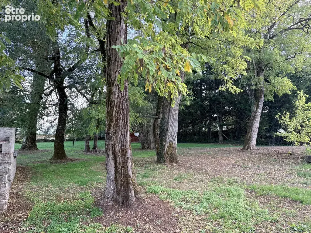 Belle Maison en Pierre avec 4 Chambres et Beau Parc Arboré - photo 33