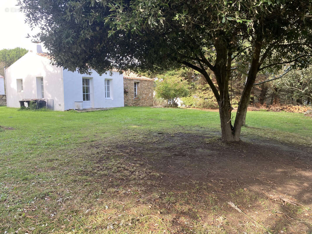 Les martinieres - photo 9