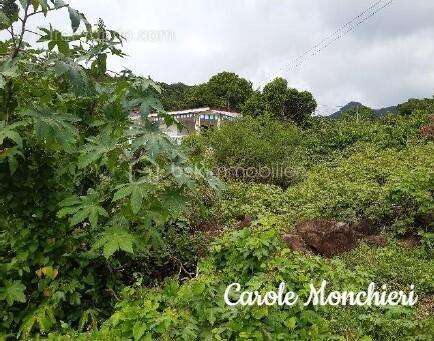 Terrain à VIEUX-FORT