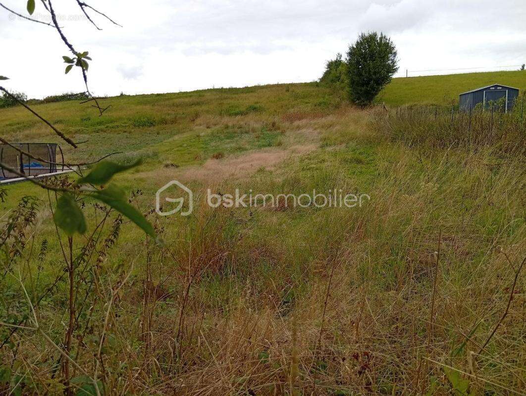 Terrain à SAINTE-GENEVIEVE