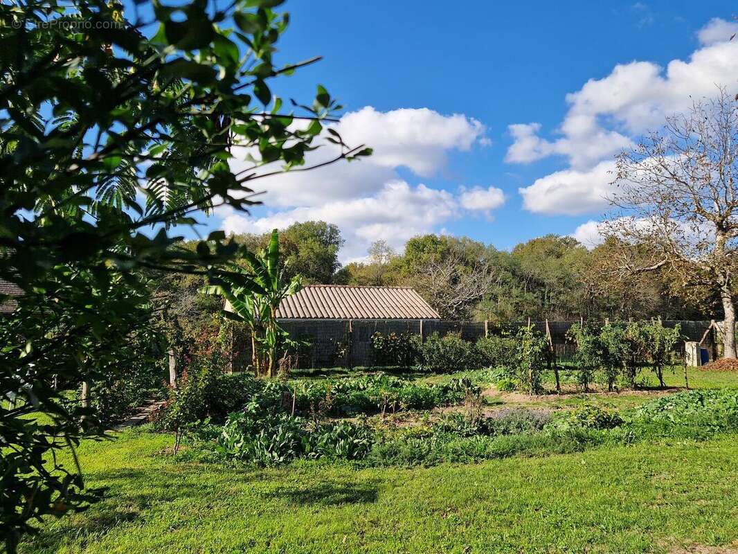 20251016152915 - Maison à BANEUIL