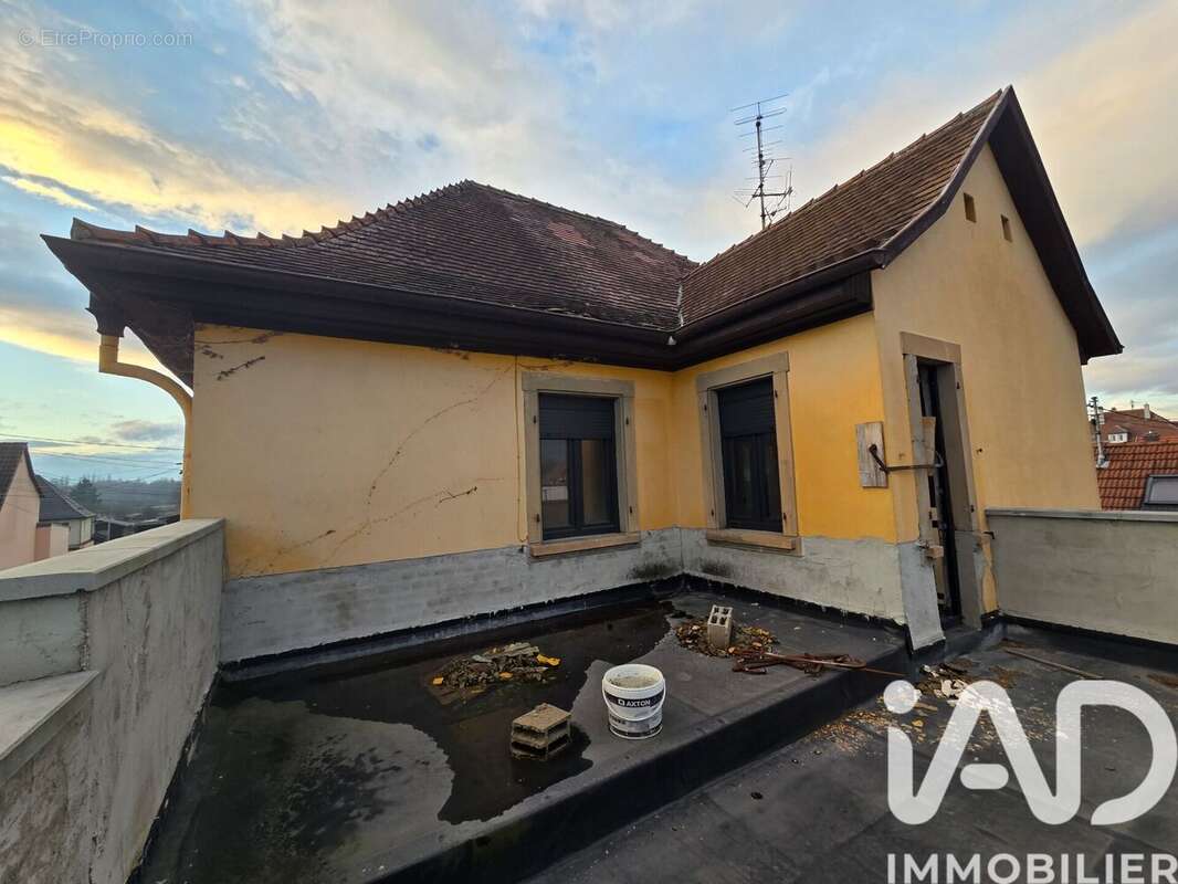 Photo 3 - Appartement à ESCHAU