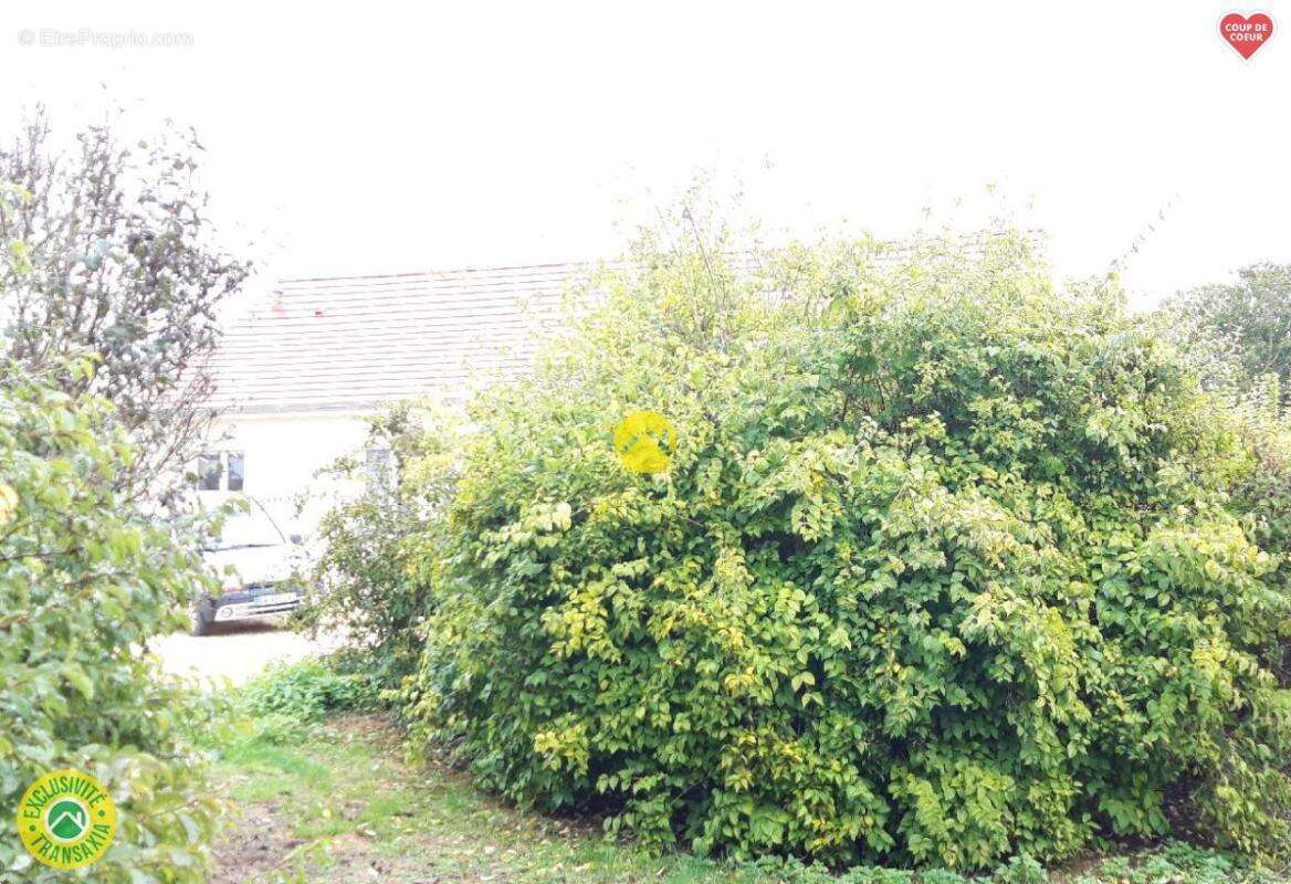 Maison à ISSOUDUN