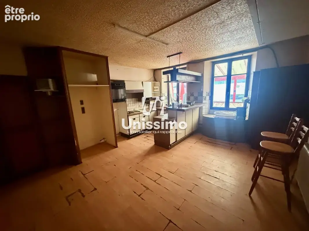 Maison 7 pièces 217 m² à vendre à L'isle-Sur-Le-Doubs (25250) - photo 3