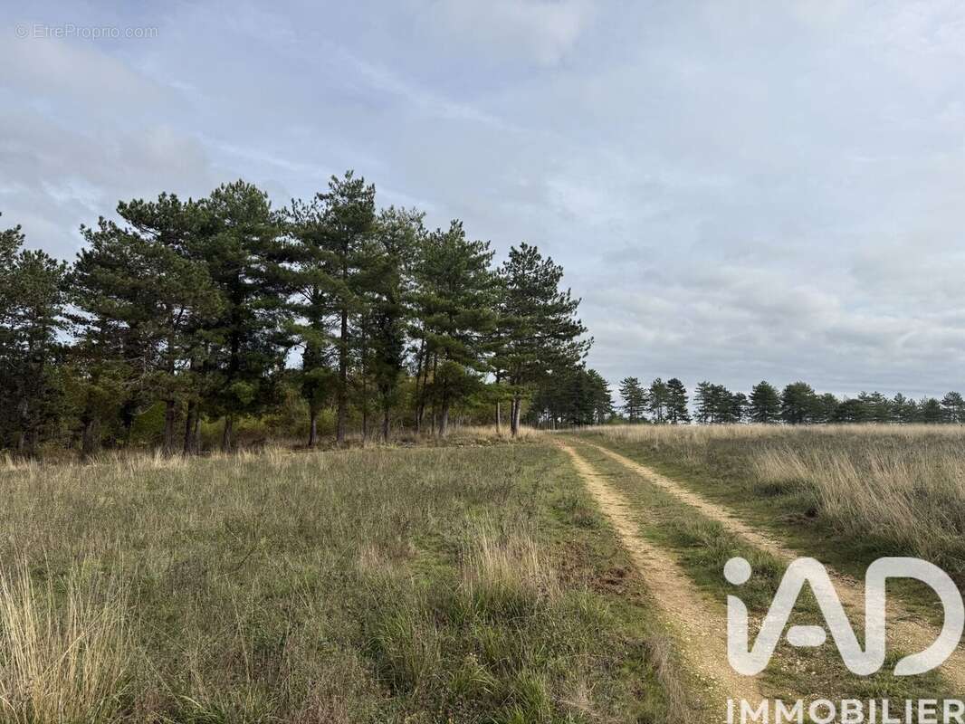 Photo 4 - Terrain à MONTAYRAL