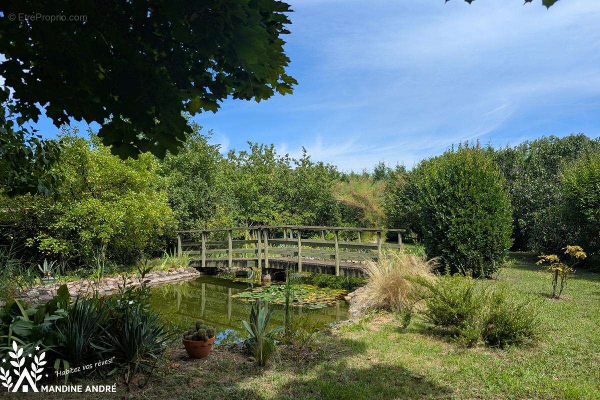 Appartement à SAINT-GERMAIN-AU-MONT-D&#039;OR