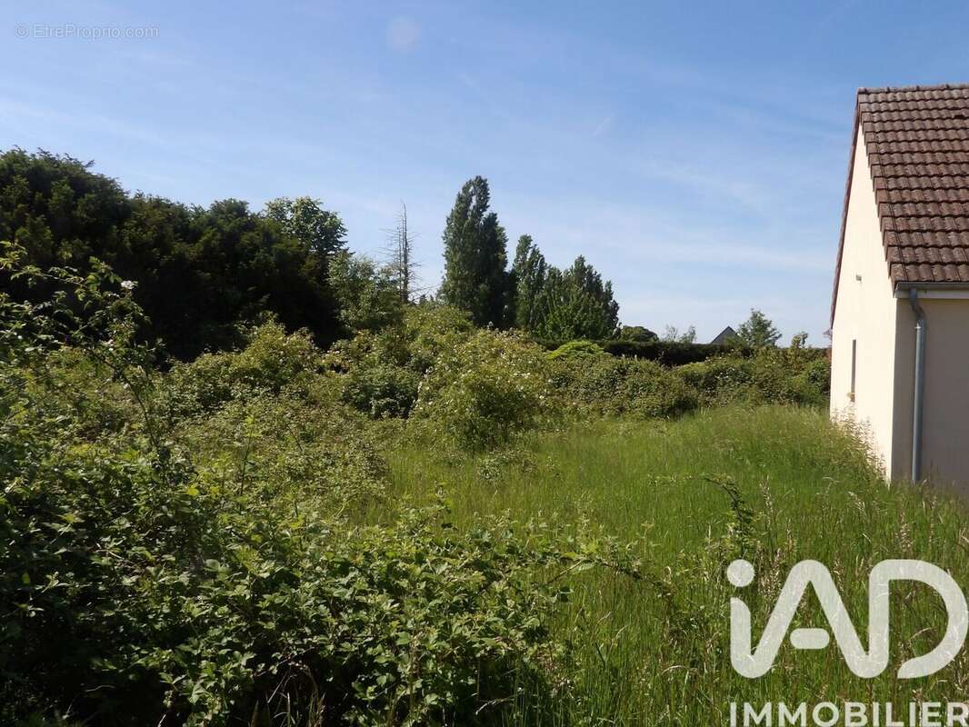 Terrain 584 m² à Theuville  - photo 3