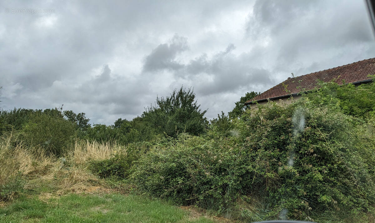 Terrain à NEUVY-SUR-LOIRE