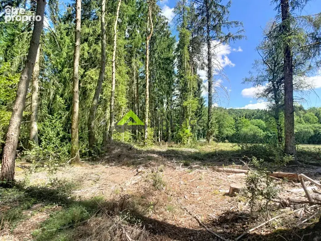 Étang privé   5 540 m2   Croze (23)   Terrain de loisirs - photo 6