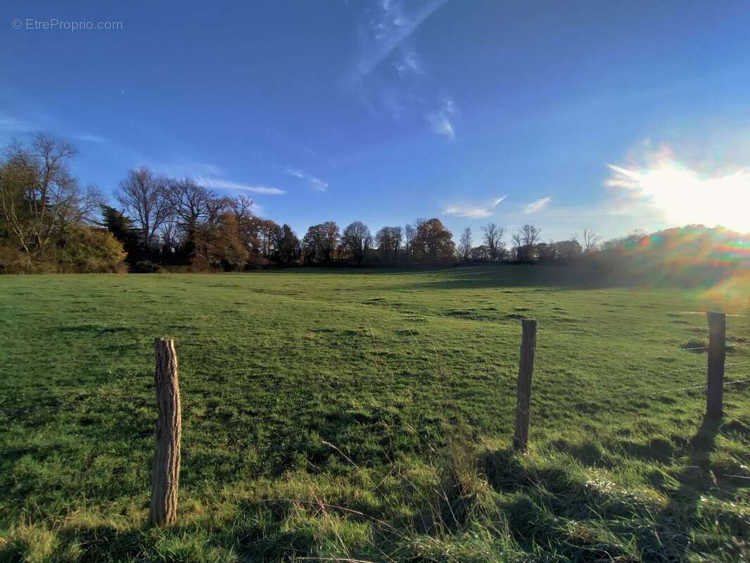 Terrain à bâtir de 865 m² à BELLERIVE-SUR-ALLIER (03) - photo 4