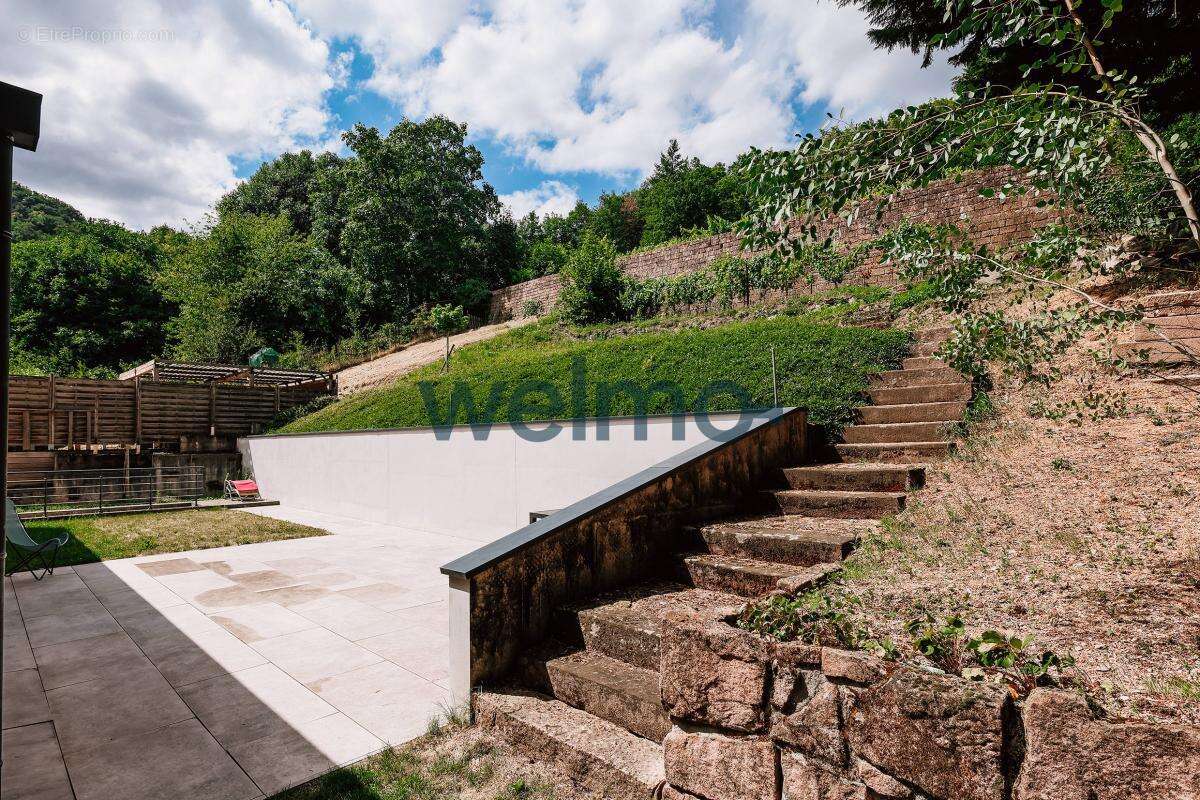 Maison à RIBEAUVILLE