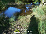 Terrain à LUSSAC-LES-EGLISES