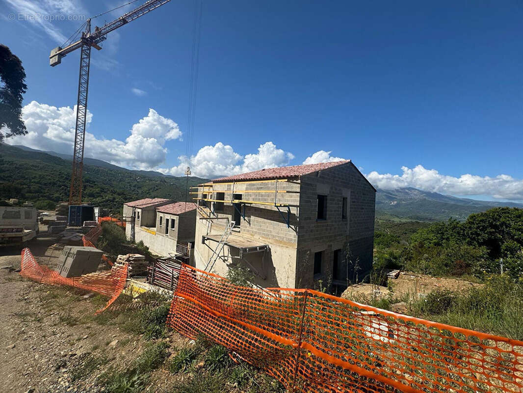 Appartement à OLMETA-DI-TUDA