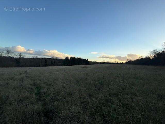 Terrain à SAINT-GERMAIN-D&#039;AUNAY