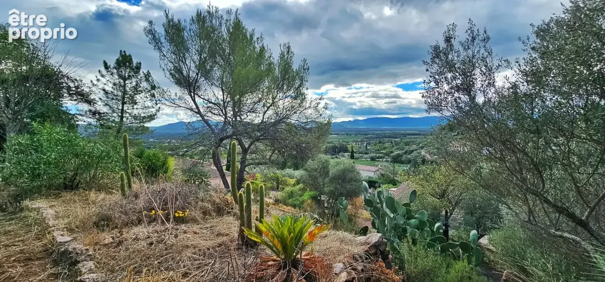 Vidauban opportunite rare  maison 4ch et dependance avec vue - photo 2