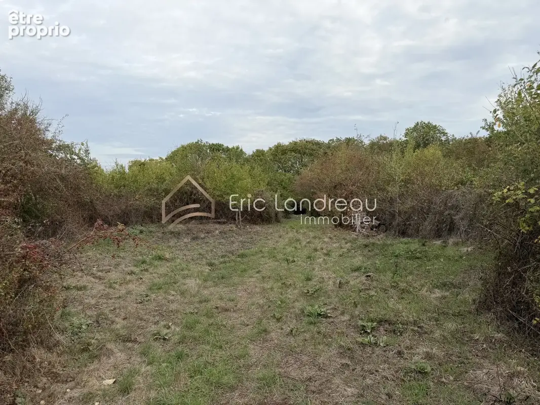Jard-sur-mer   grand terrain en zone naturelle de 4 600 m2 avec vue sur les marais   un lieu idéal pour se ret - photo 2
