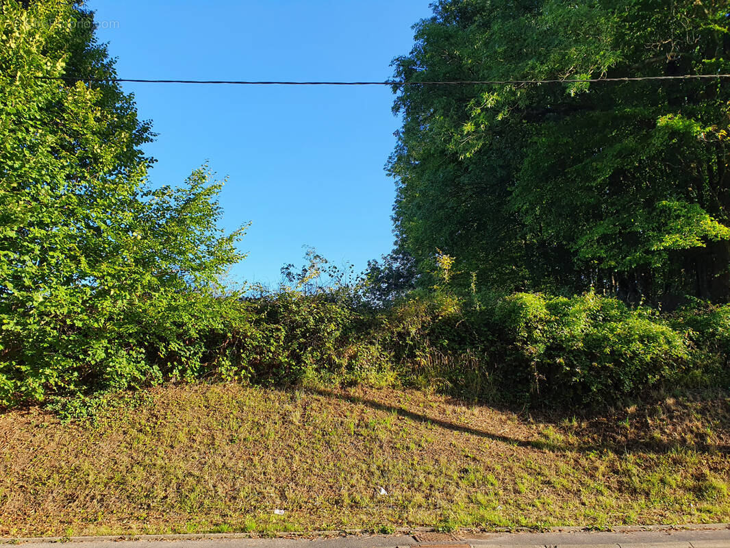 Terrain à SIGNY-LE-PETIT