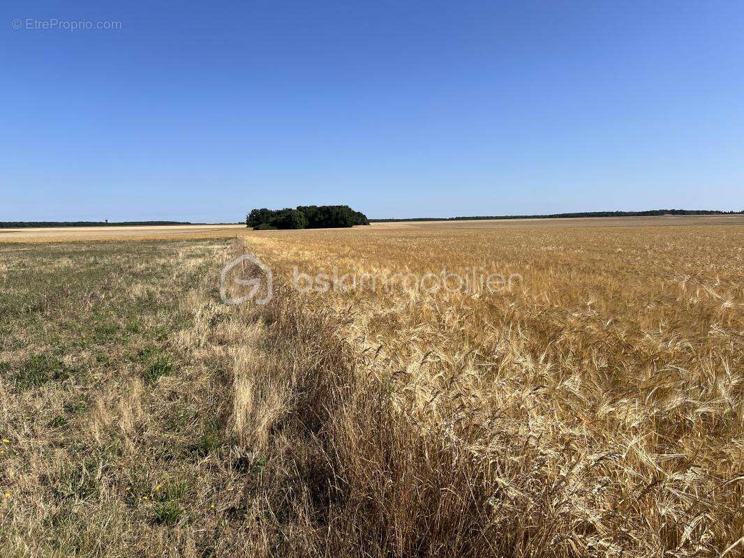 Beau terrain constructible - photo 2
